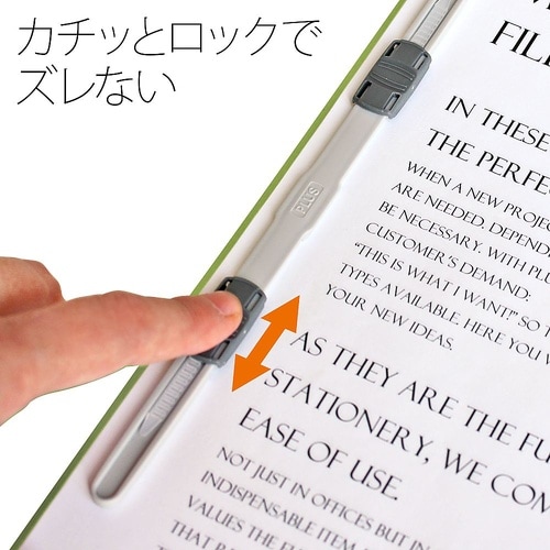 No.125FP フラットファイル 葉緑