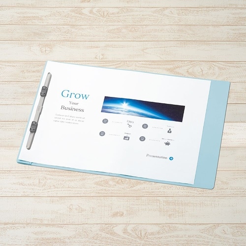 No.135FP フラットファイル R青