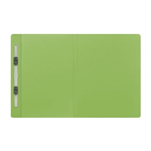 No.135FP フラットファイル 葉緑