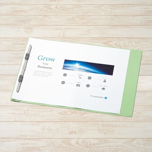 No.135FP フラットファイル 緑