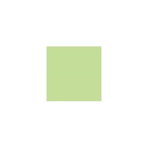 色画用紙R 8ツ切 10枚 わかくさ 2