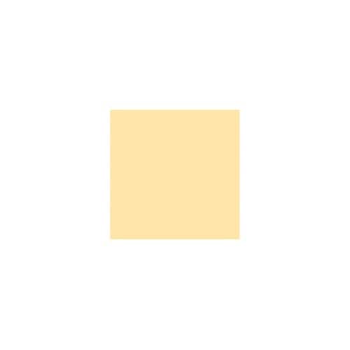 色画用紙R A4 50枚 こいクリーム