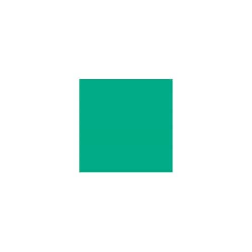 色画用紙R A4 50枚 みどり