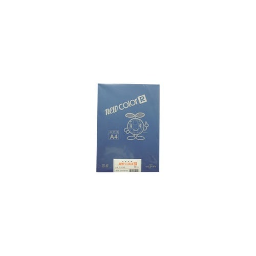 色画用紙R A4 50枚 ぐんじょう