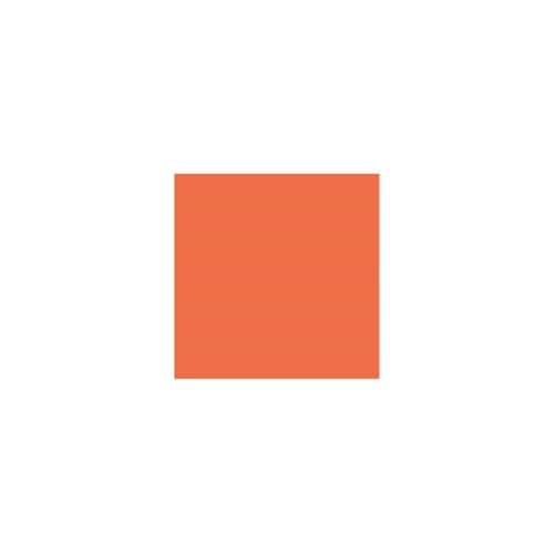 色画用紙R A4 50枚 しゅいろ