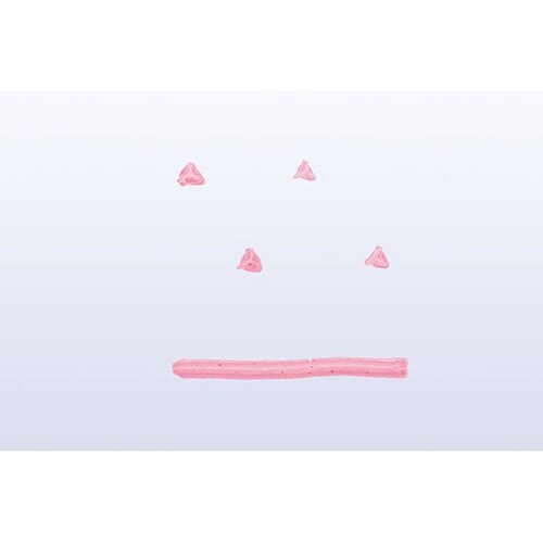 480094 口金 トライアングル#85