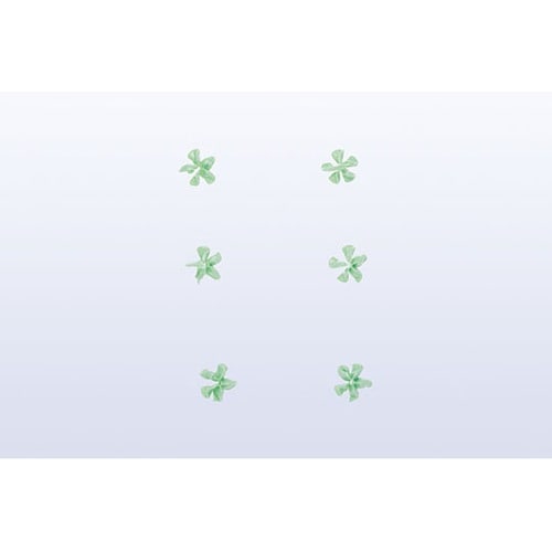 480130 口金 花 5切 ヘソ有