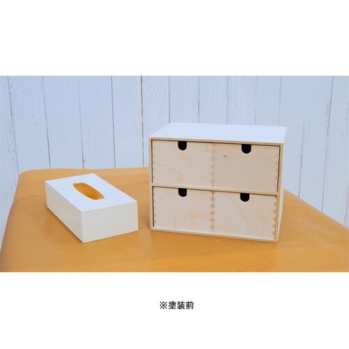 AP901325 水性ニス 100mL