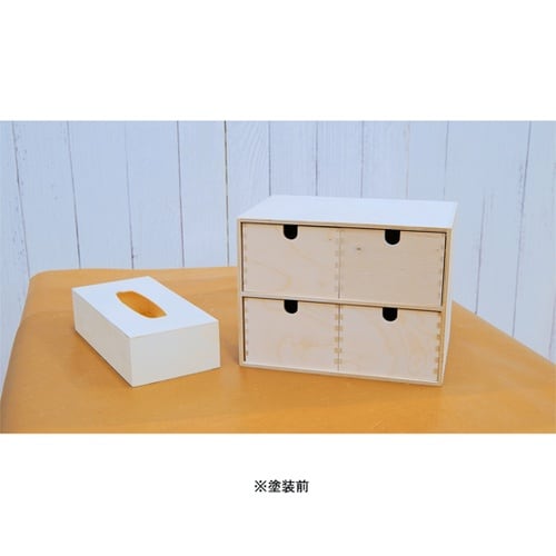 AP901328 水性ニス 100mL