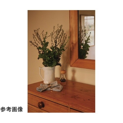 AP9018189ウレタンニス100mL