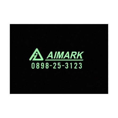 非常用標識 中輝度蓄光カッテイング文字