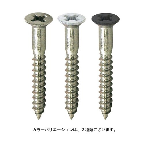 10179276 ビス 60本