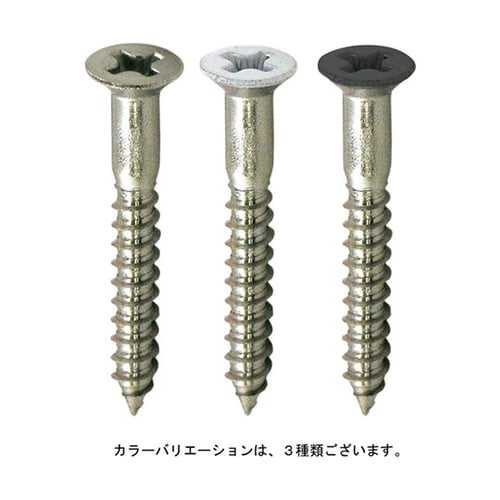 10179283 ビス 白 60本