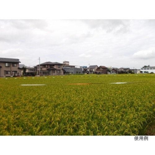 防鳥OH金銀テープ 5巻11mm×90m