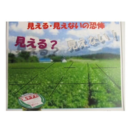 防鳥黒テグス 0.3mm×500m
