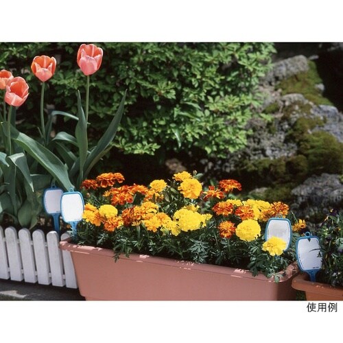 花壇プレート SA