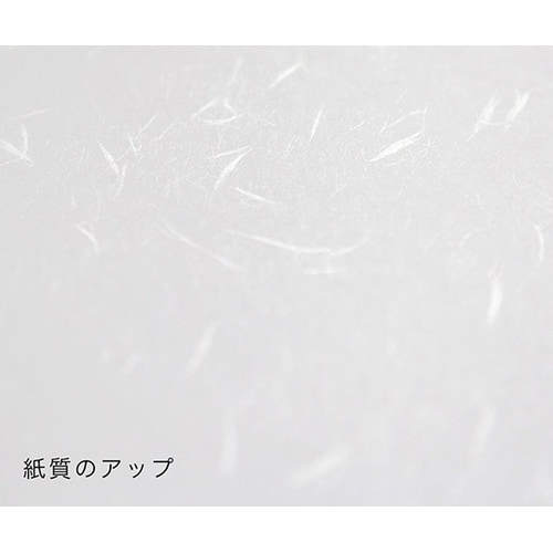 205003004 礼状紙A4 100枚