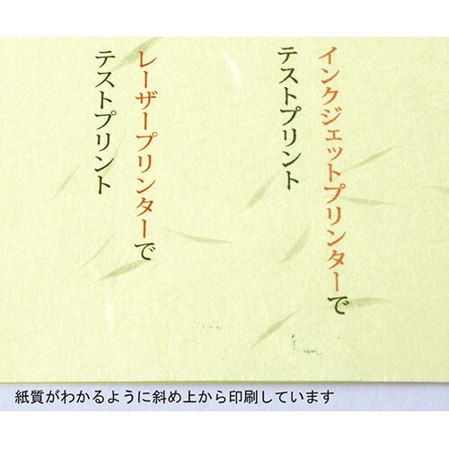 206040402 大礼紙黄A4 20枚