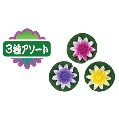 リトルガーデン 浮き草ミニ 3種アソート