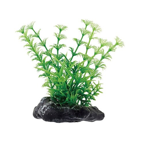 NAP−580リトルガーデンMini 1