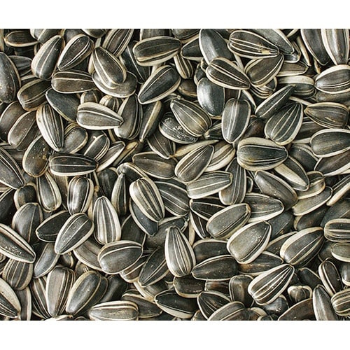 大粒ひまわりの種 200g MR−570
