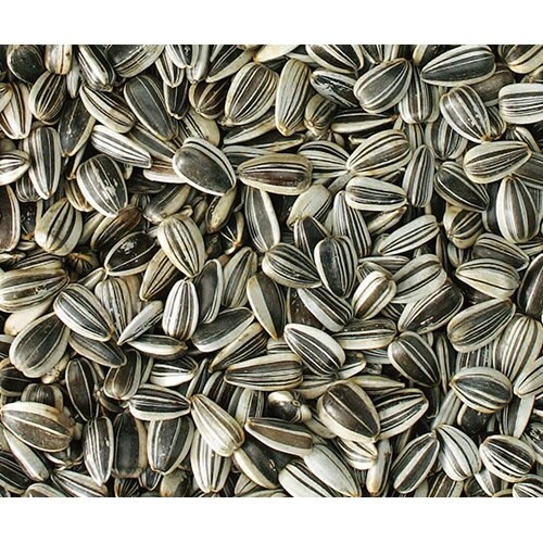 小粒ひまわりの種 200g MR−572