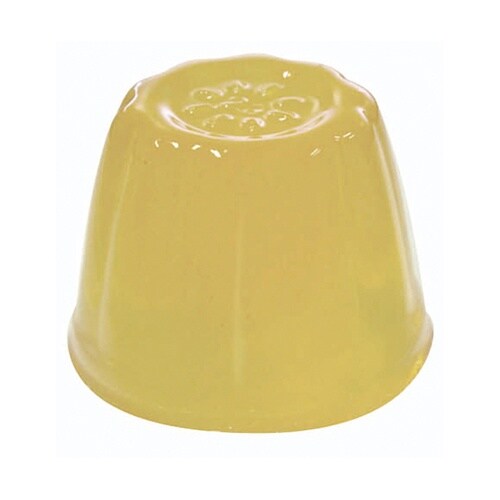 フェレットのチキンゼリー 22g×10個