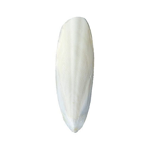 かじってカットルボーン 2個 MB−30