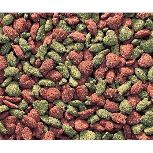 ハムスターの主食 ジャンガリアンの主食P