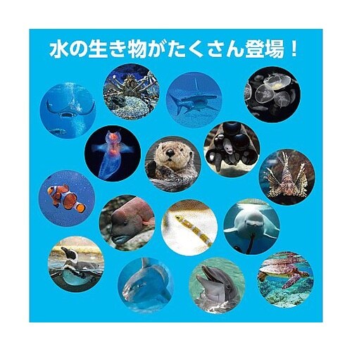 わくわくすいぞくかんすごろく 2618