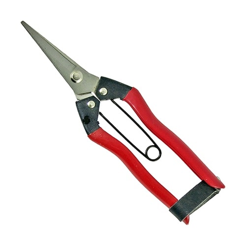 ステンレス 摘果鋏