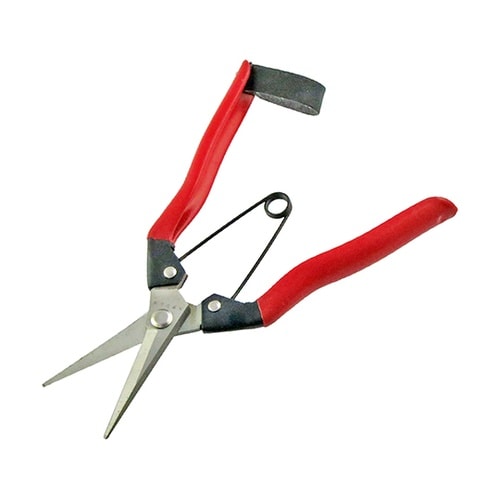 ステンレス 摘果鋏