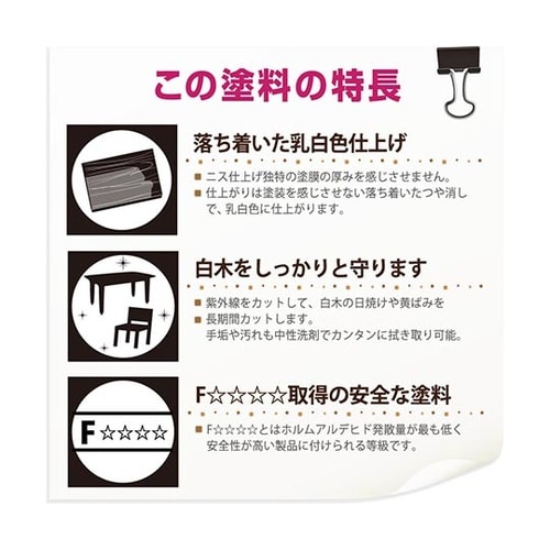 737653732100白木用ニスA