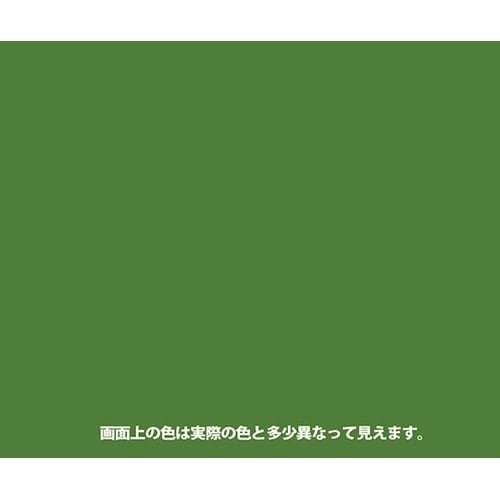 277650282070ヌーロきみどり