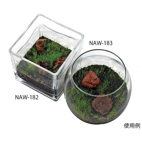 NAW−182水草の種ストレートヘア流木