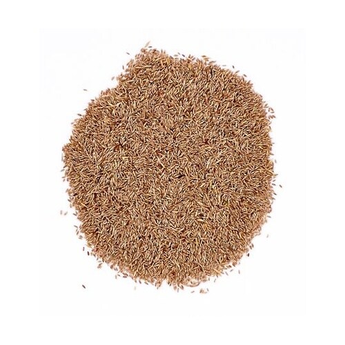 NAW−182水草の種ストレートヘア流木