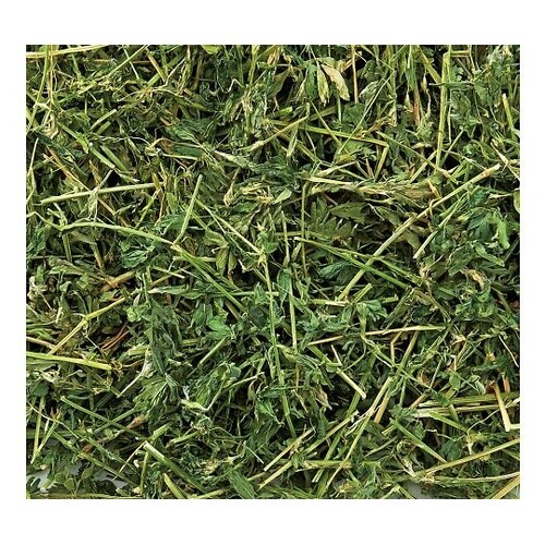 MR−859バニーグレードアルファルファ