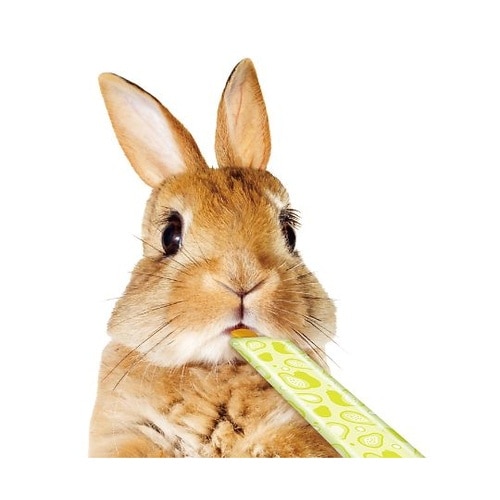 ML−188 うさうさぴゅーれ パパイヤ