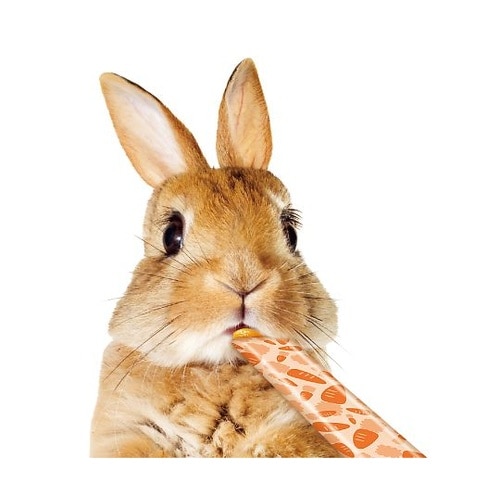 ML−189 うさうさぴゅーれ にんじん