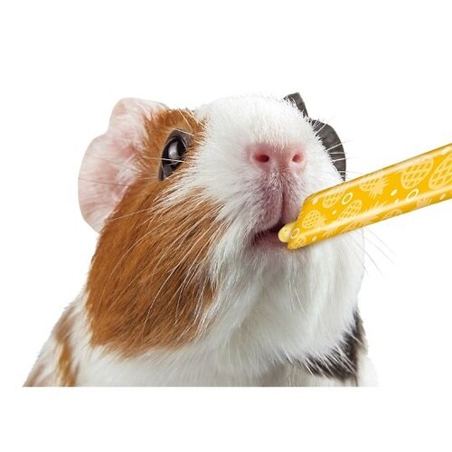 ML−190 もるもっとぴゅーれ パイン