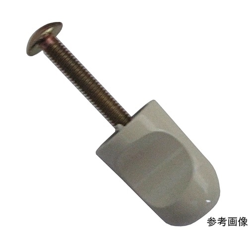 1A154H キャノン撮 アイボリー