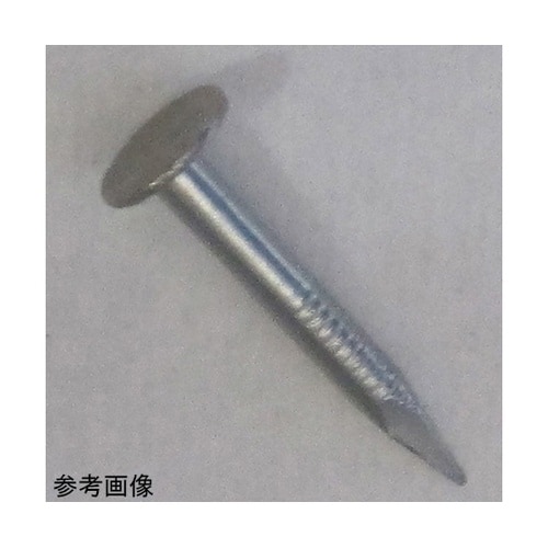 1F098 ステン平頭釘