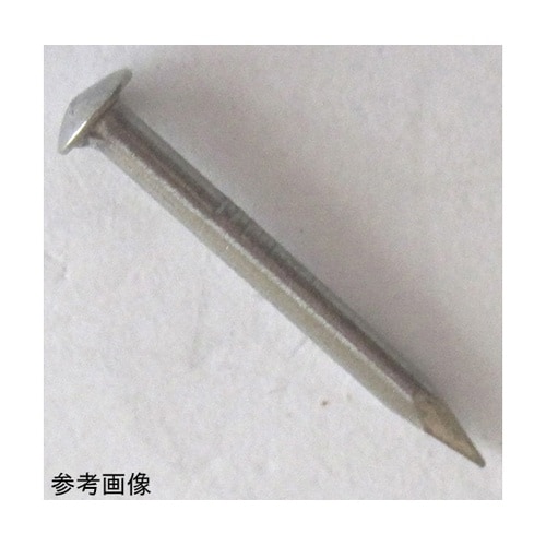 1F108 ステン丸頭釘