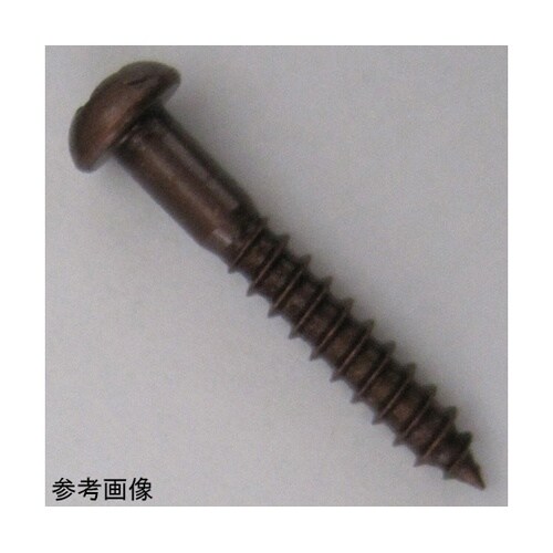 2F062 GB木ネジ 17個入