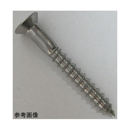 2F102 ステン木ネジ 11個入