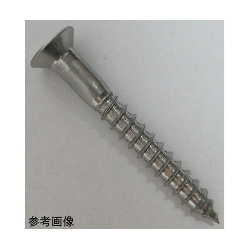 2F113 ステン木ネジ 2個入