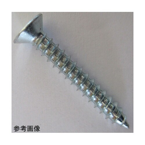 2F166 ユニクロ鉄板木ネジ 12個入