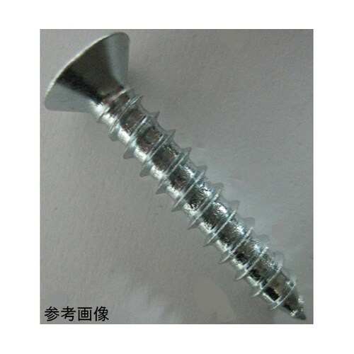 2F181 ユニクロ鉄板木ネジ 5個入