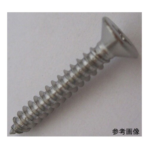 2F251 ステン鉄板木ネジ 15個入