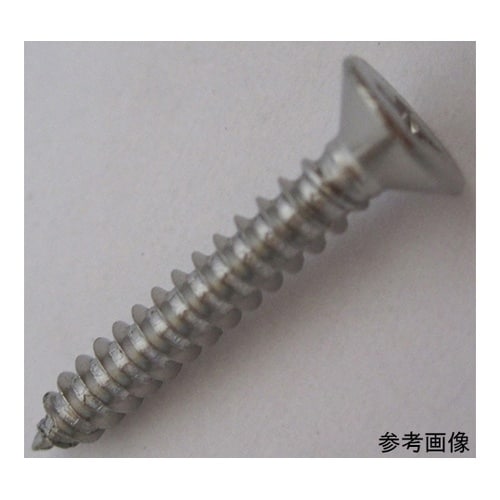 2F259 ステン鉄板木ネジ 8個入